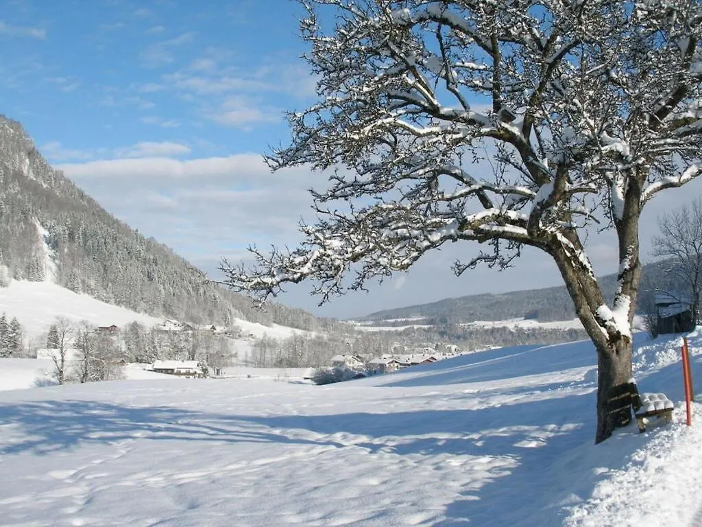 Holiday Apartment Alpenstern Ruhpolding Germany